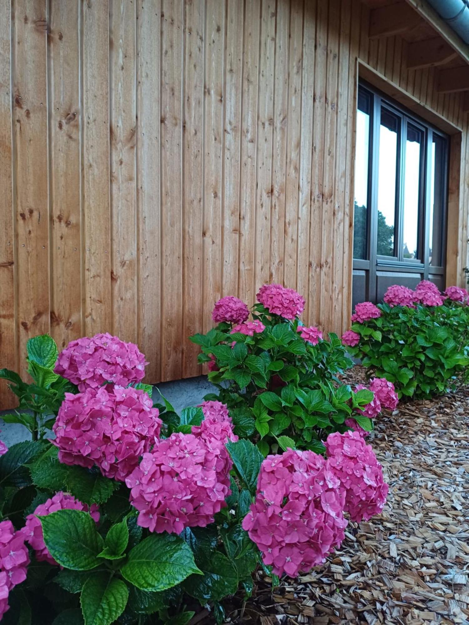Les Du Chateau De Werde Country house *