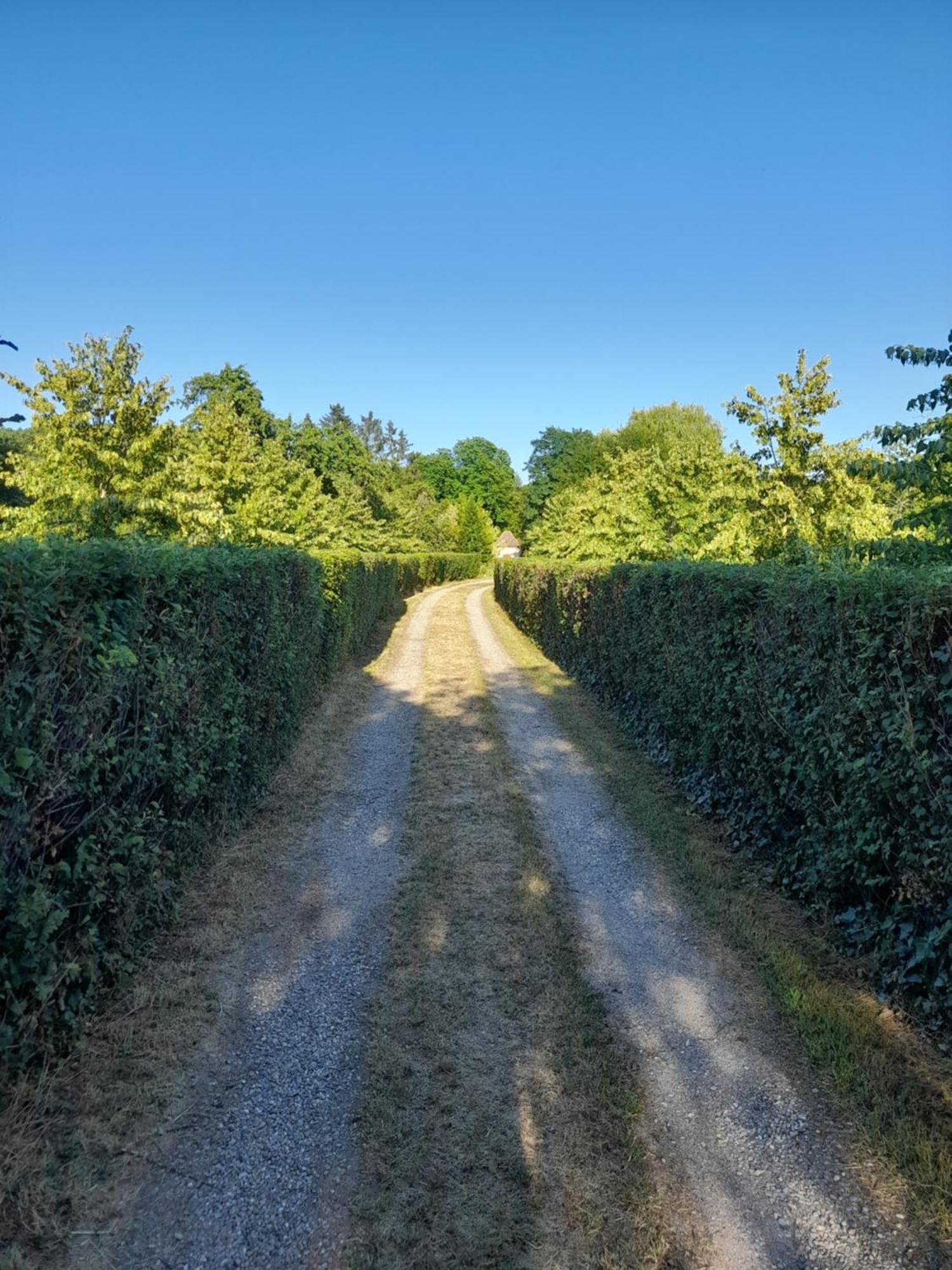 Les Du Chateau De Werde Country house Matzenheim